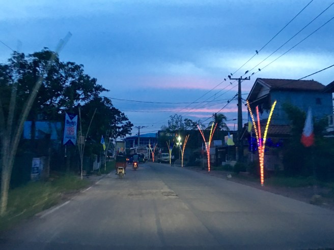 The avenue of neon palm trees - Negombo, Sri Lanka